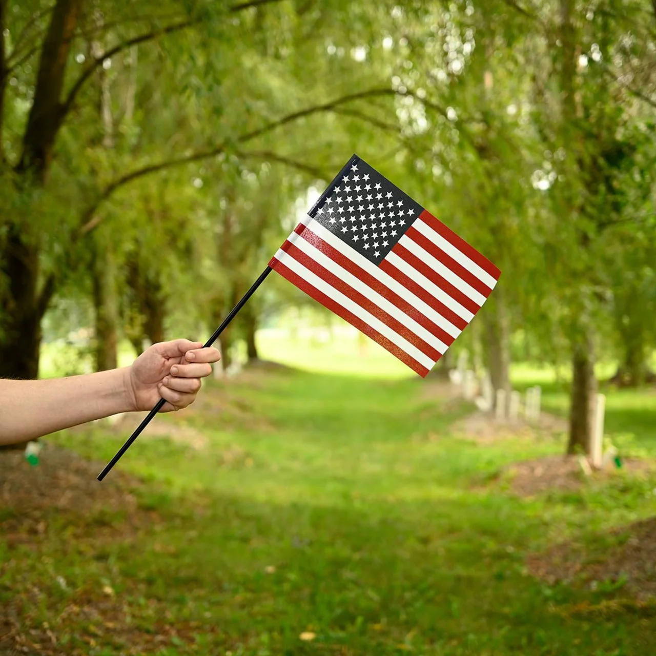 12-Pack, US Stick Flag 8x12in, Black Stick, No Tip - Image 2