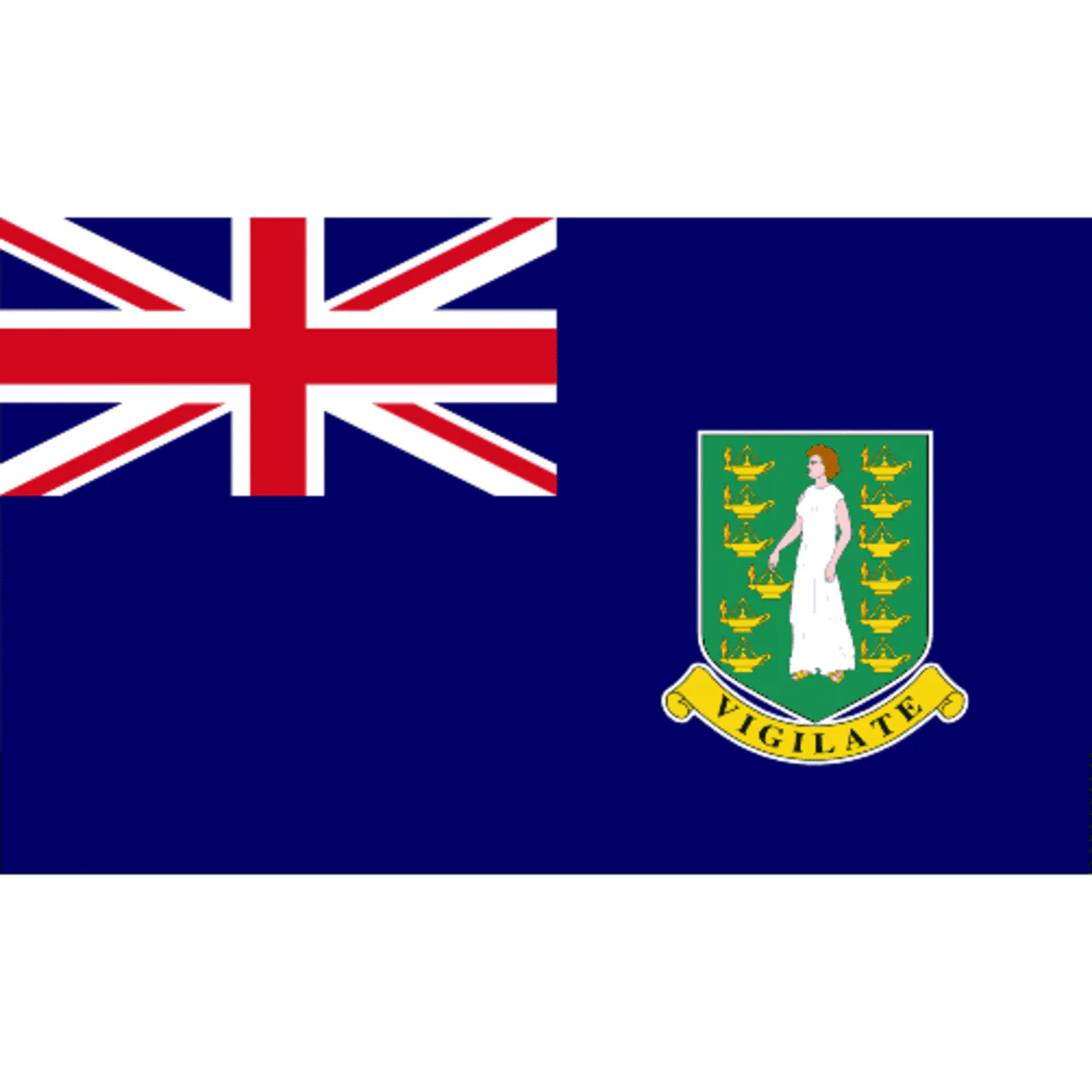 British Virgin Islands 3ft x 5ft Printed Polyester Flag - Image 2