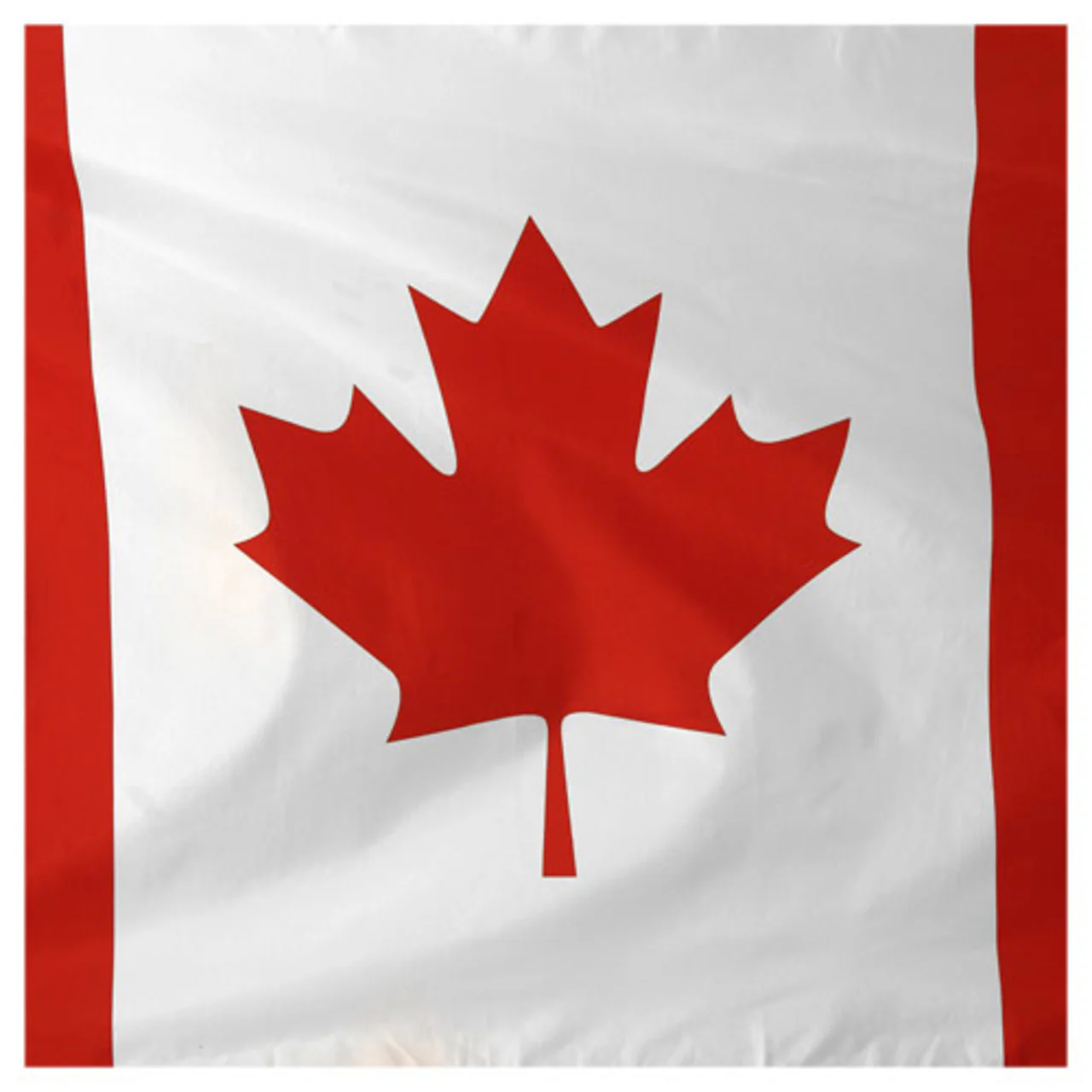 Canada Flag 3ft x 5ft Printed Polyester - Image 3