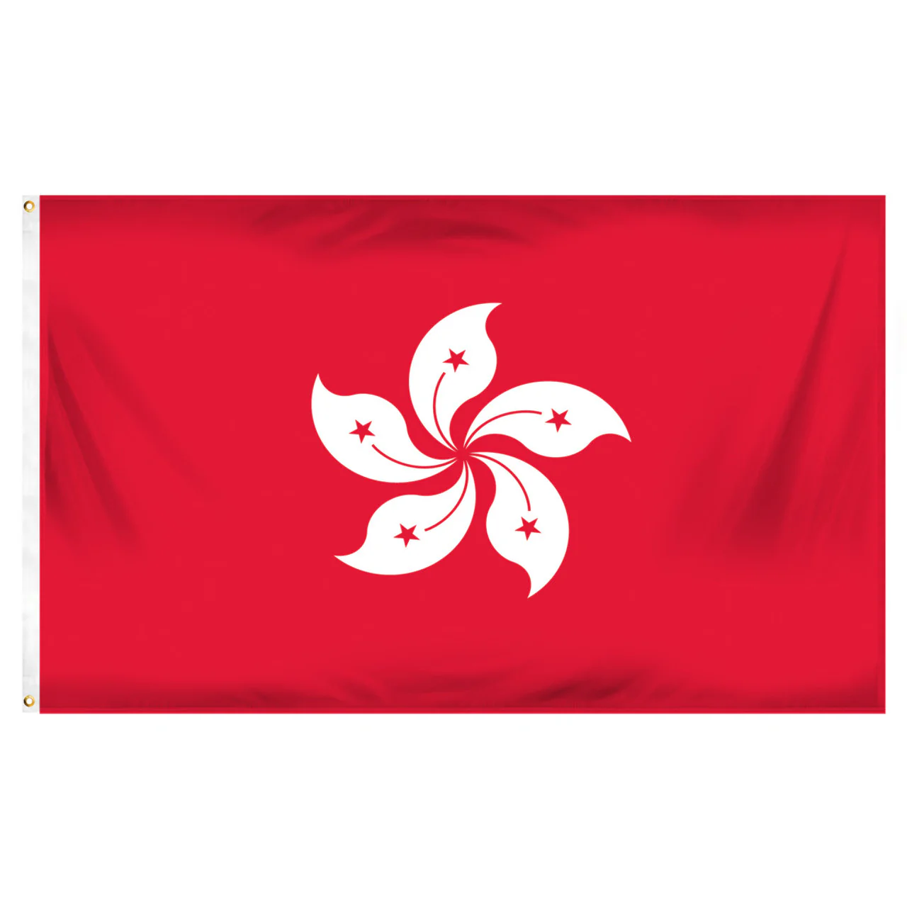 Hong Kong 3ft x 5ft Printed Polyester