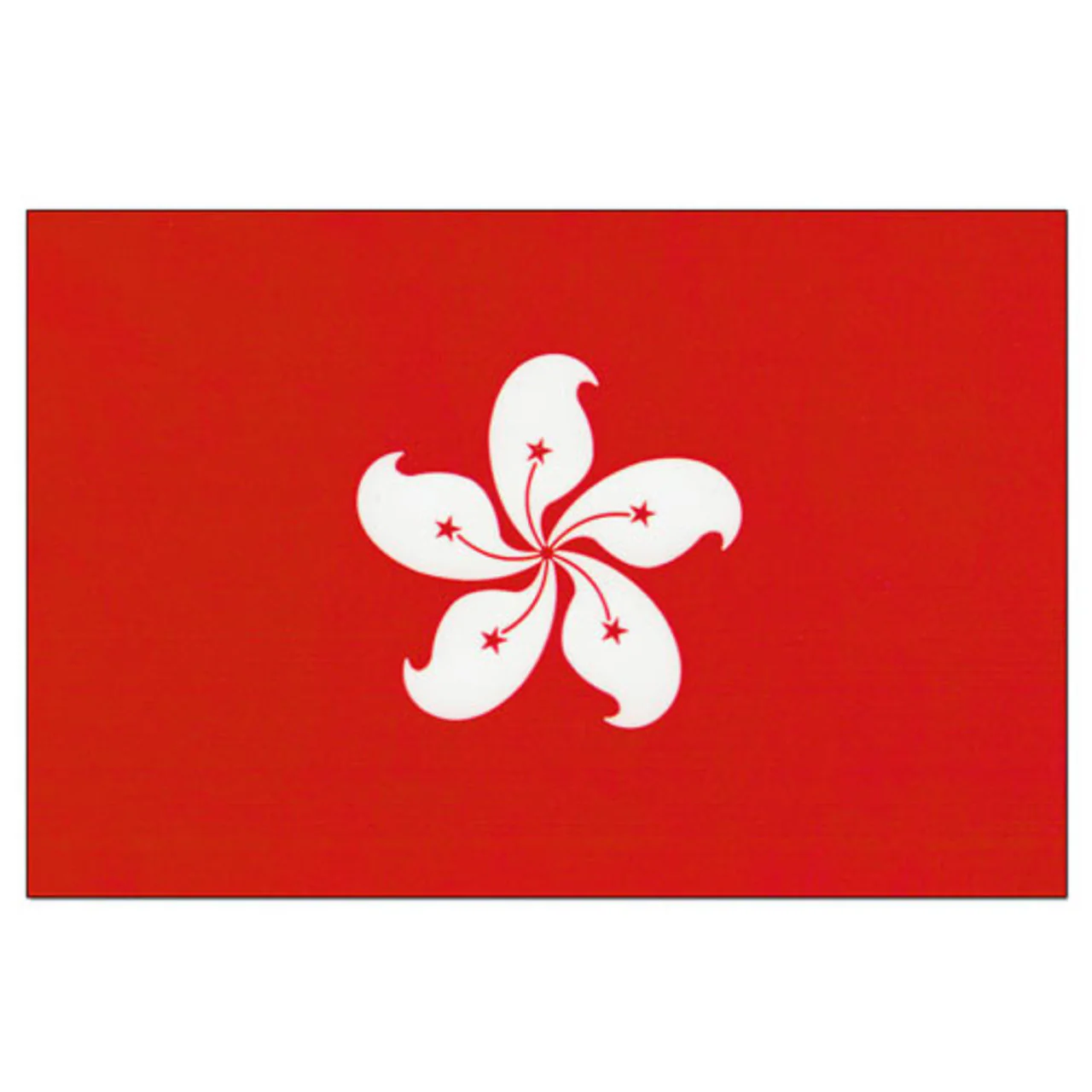 Hong Kong 5ft x 8ft Nylon Flag - Image 2