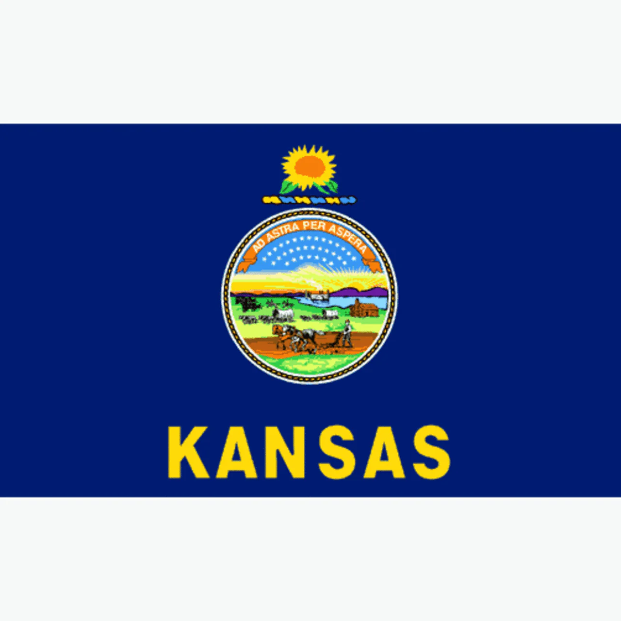 Kansas 8ft x 12ft Nylon Flag - Image 2