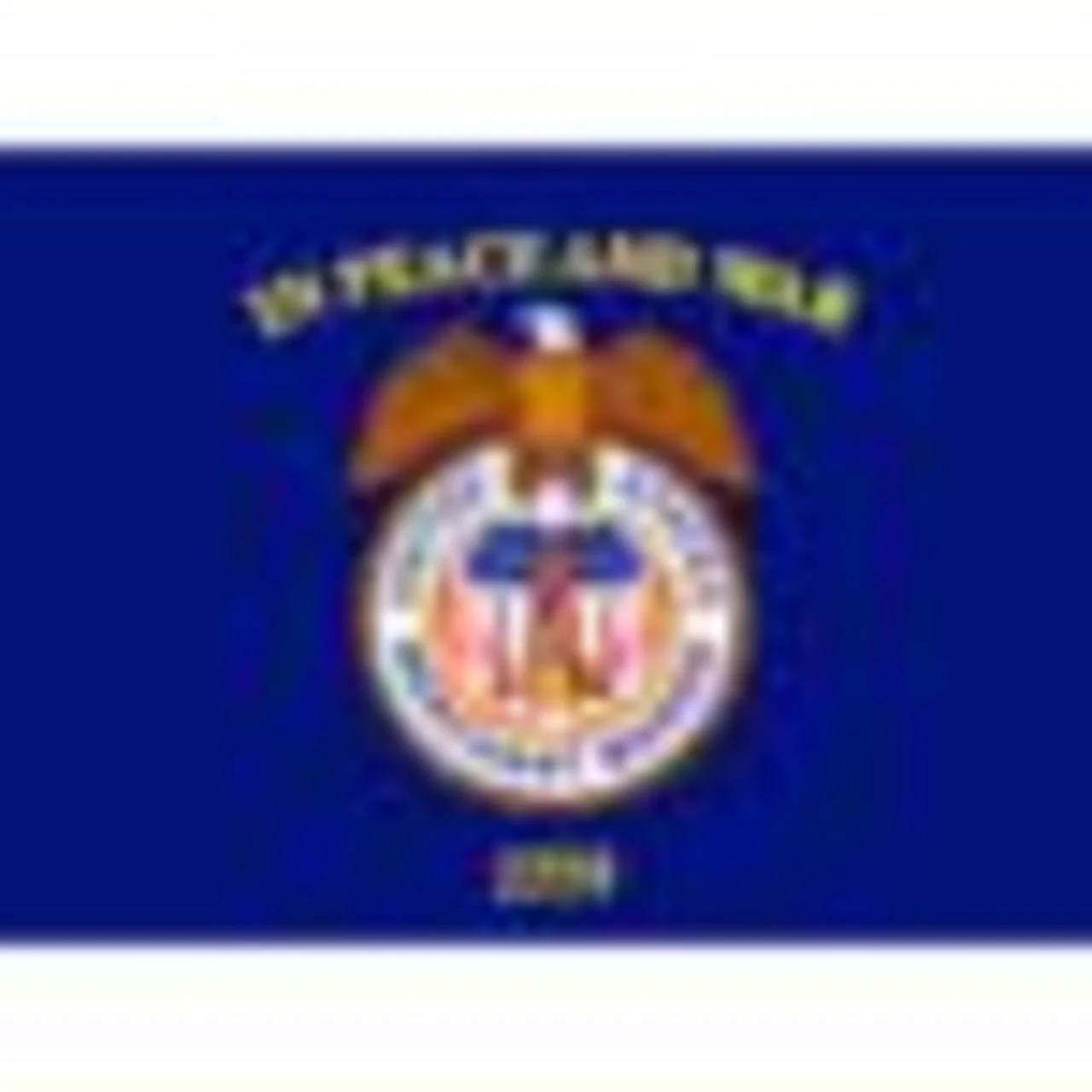 Merchant Marine 3ft x 5ft Nylon Flag - Image 3