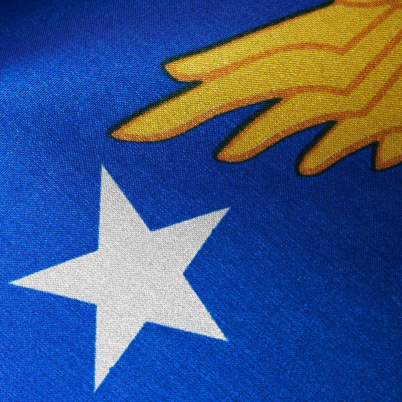 Airforce 4ftx6ft Flag with Indoor Pole Hem and Fringe - Image 3