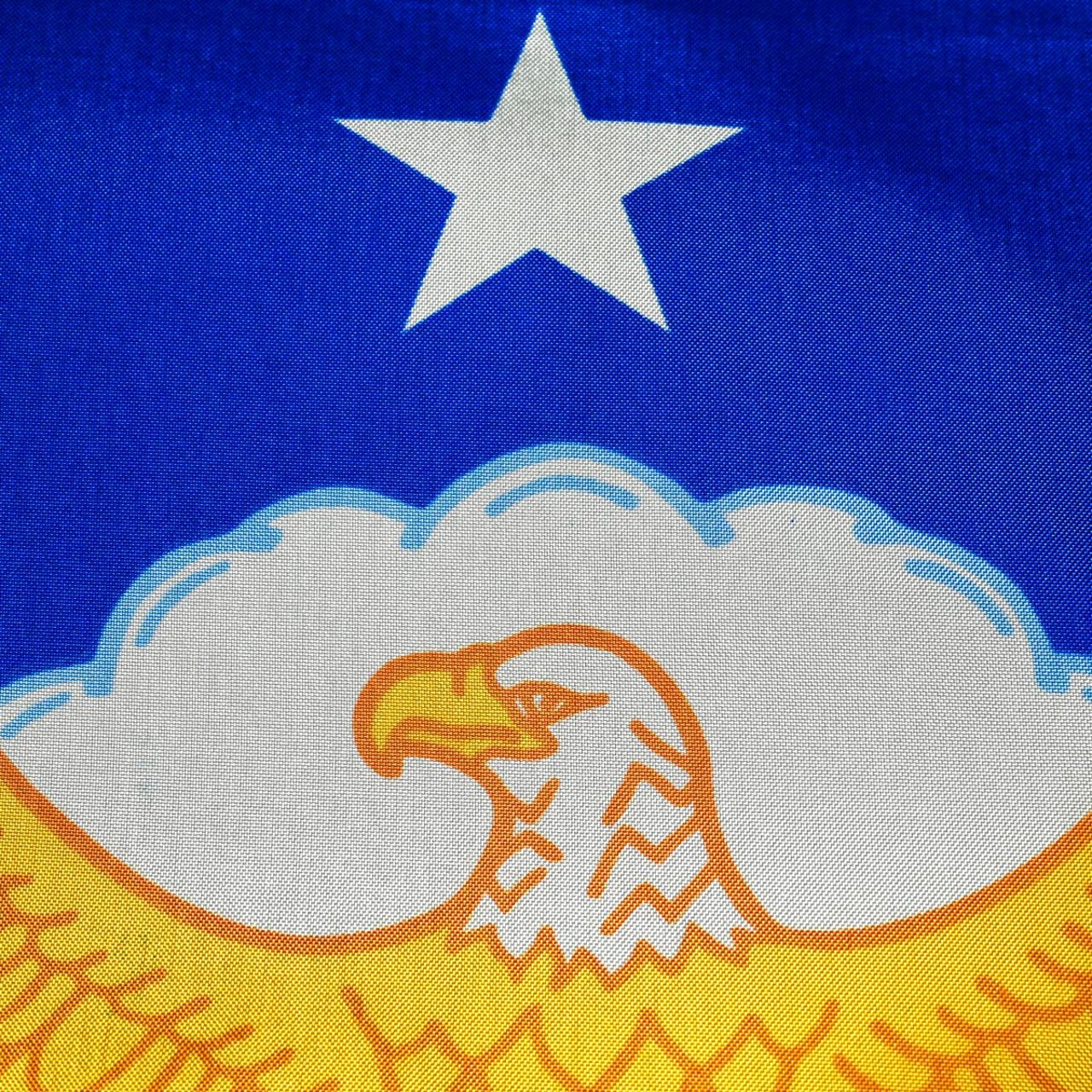 Airforce 4ftx6ft Flag with Indoor Pole Hem and Fringe - Image 4