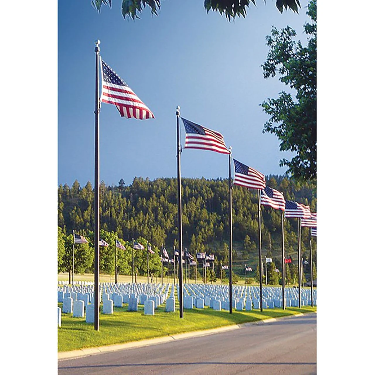 Sentry II Series 25ft Commercial Flagpole - .188in Wall Thickness - 6in Butt Diameter - Image 5