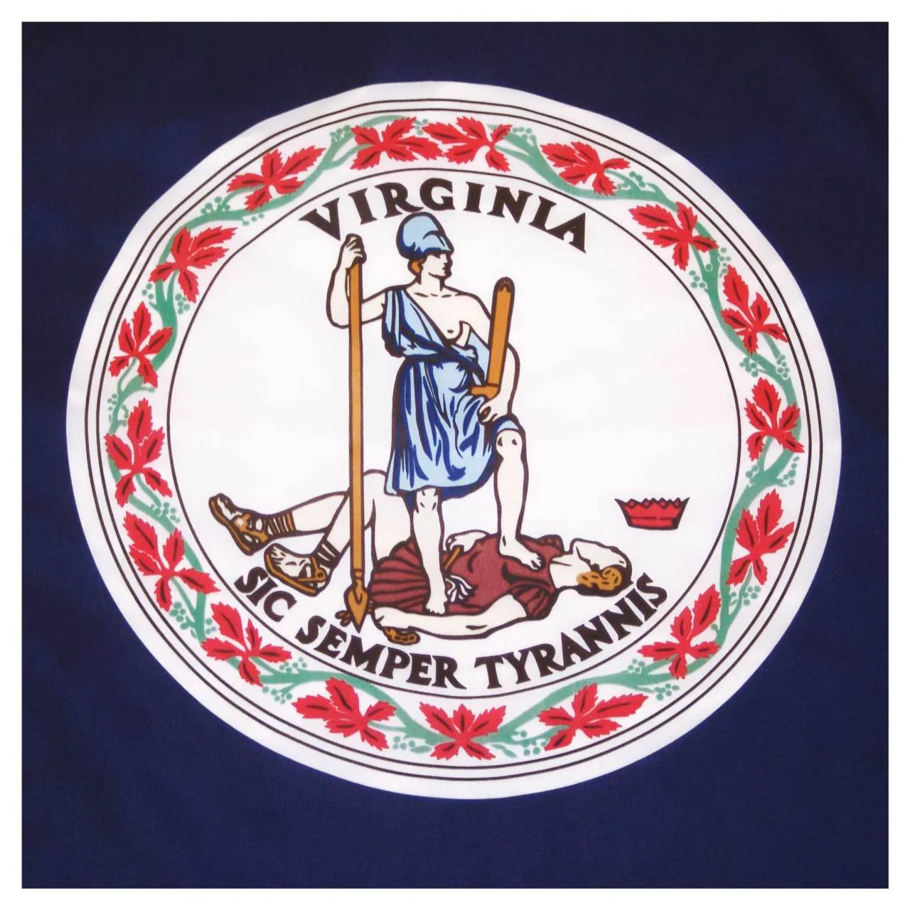 Virginia Flag 4 x 6 Feet Nylon - Image 2