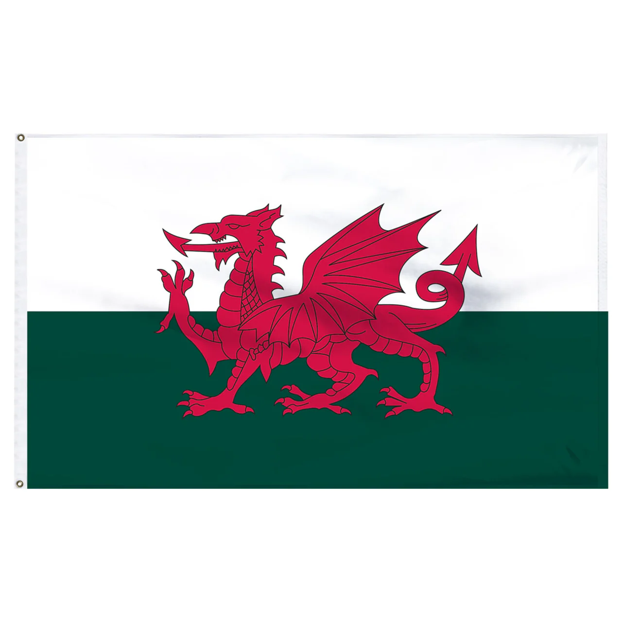 Wales 2ft x 3ft Nylon Flag