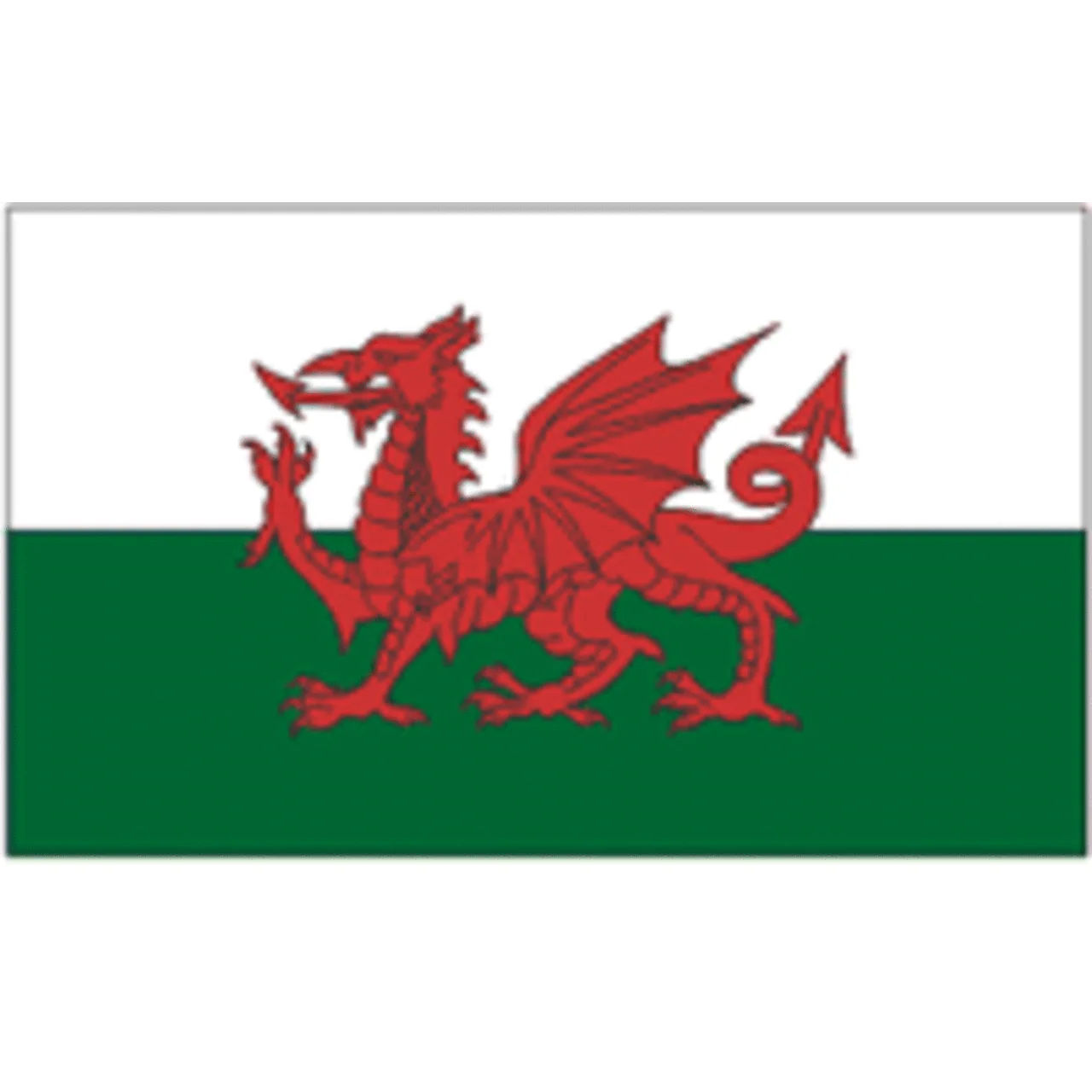 Wales 2ft x 3ft Nylon Flag - Image 2